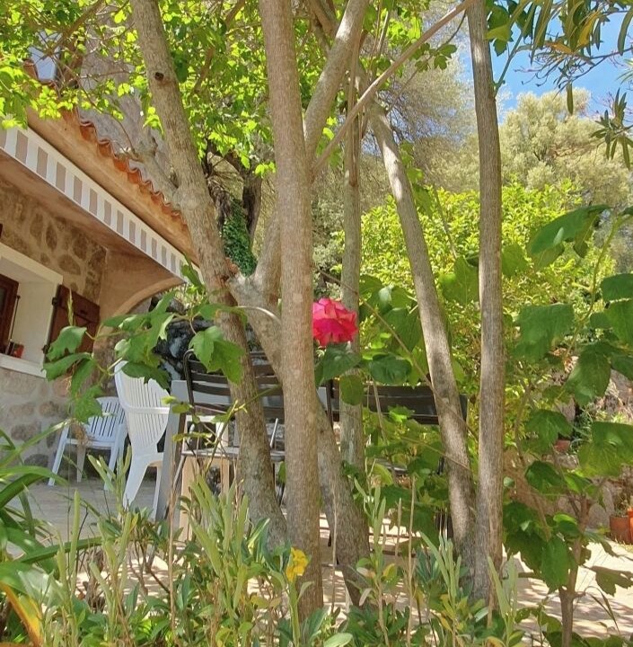 Photo of Outdoor in Conca