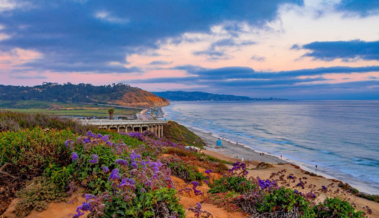 Photo of Others in Del Mar Heights