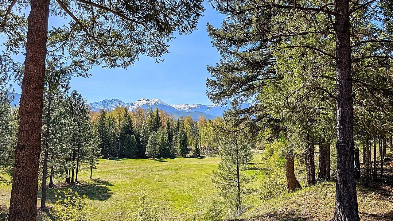 Photo of Others in Libby