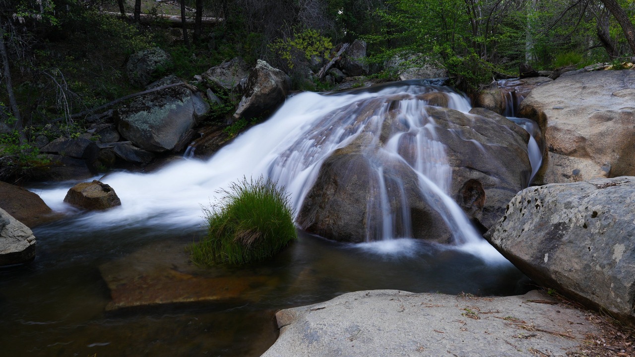 Photo of Others in Yosemite Forks
