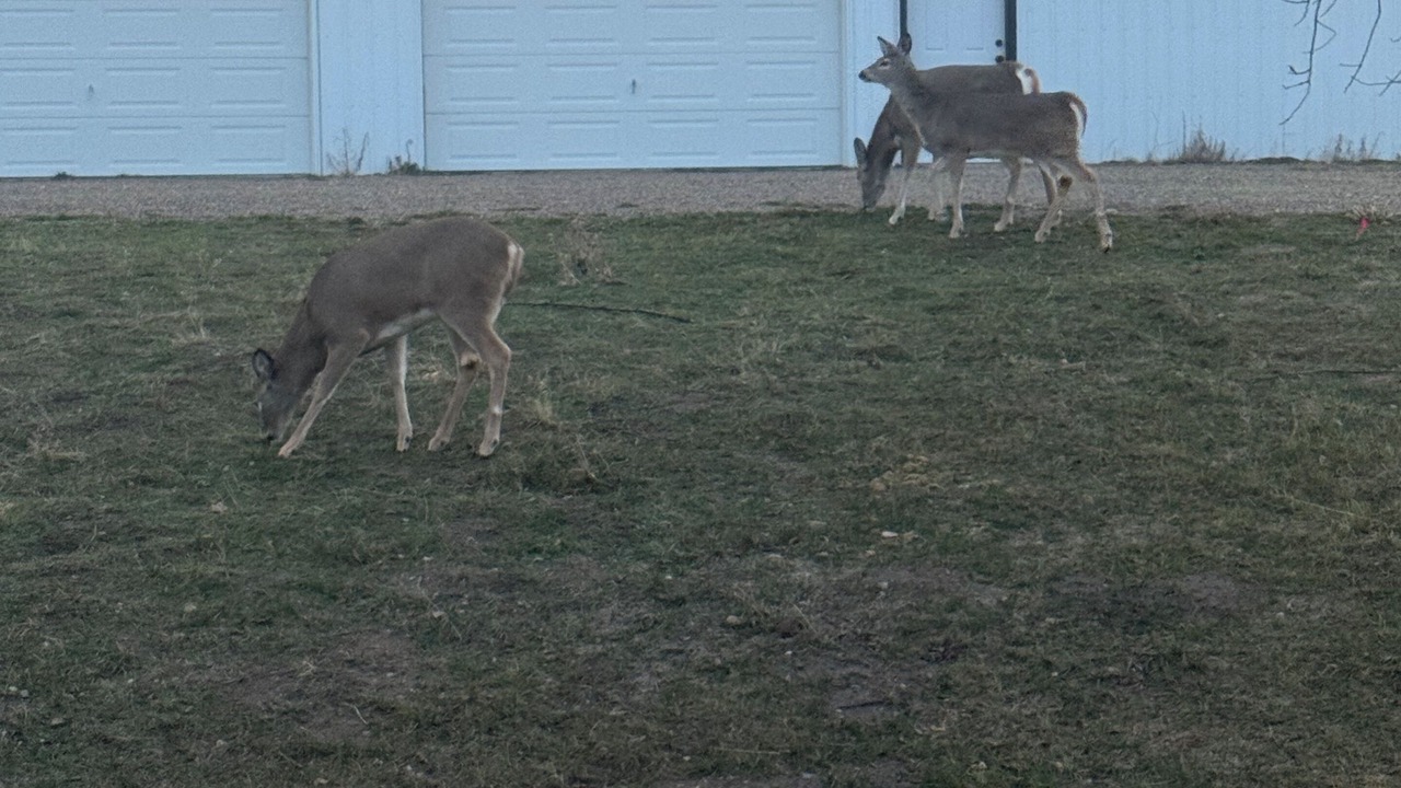 Photo of Outdoor in Corvallis
