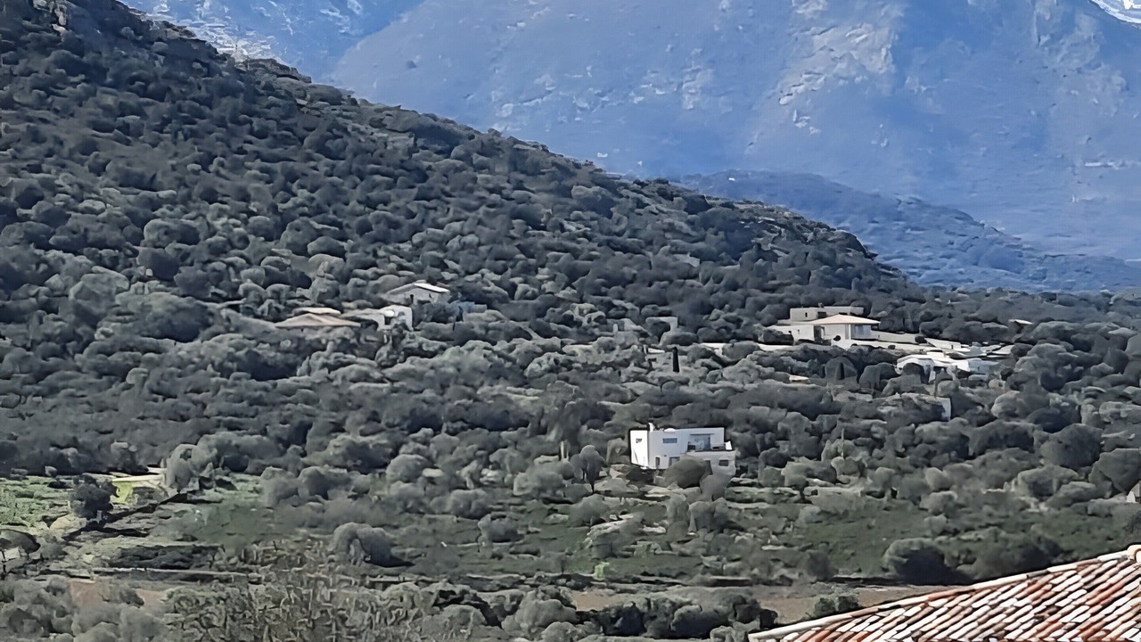 Photo of Others in Palasca