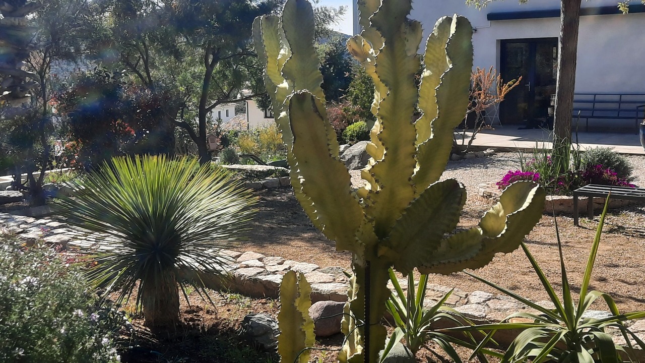 Photo of Outdoor in Palasca