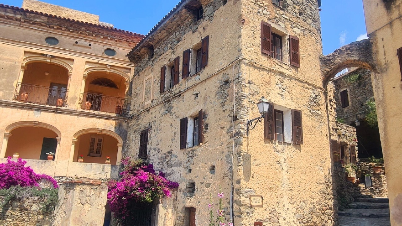 Photo of Outdoor in Lama