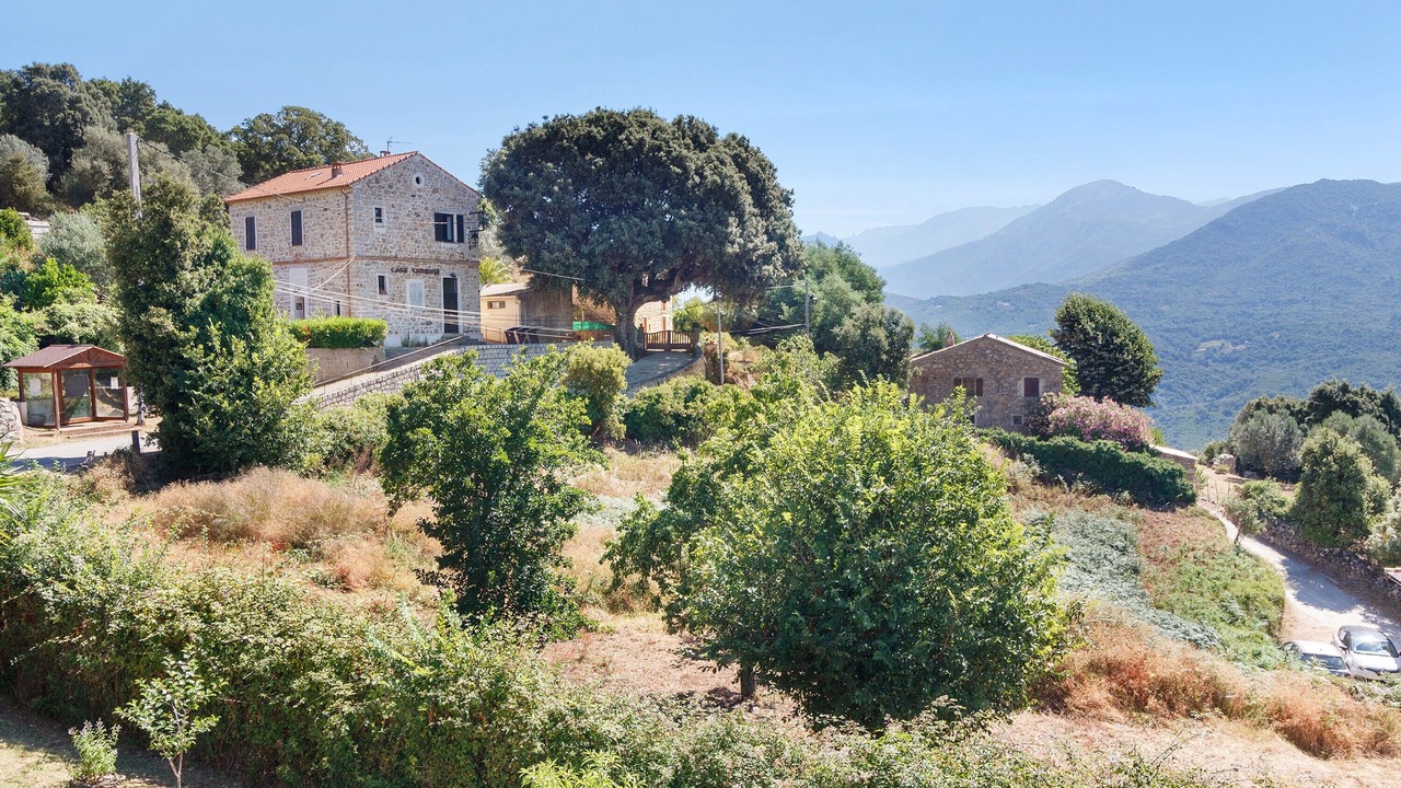 Photo of Outdoor in Tavaco