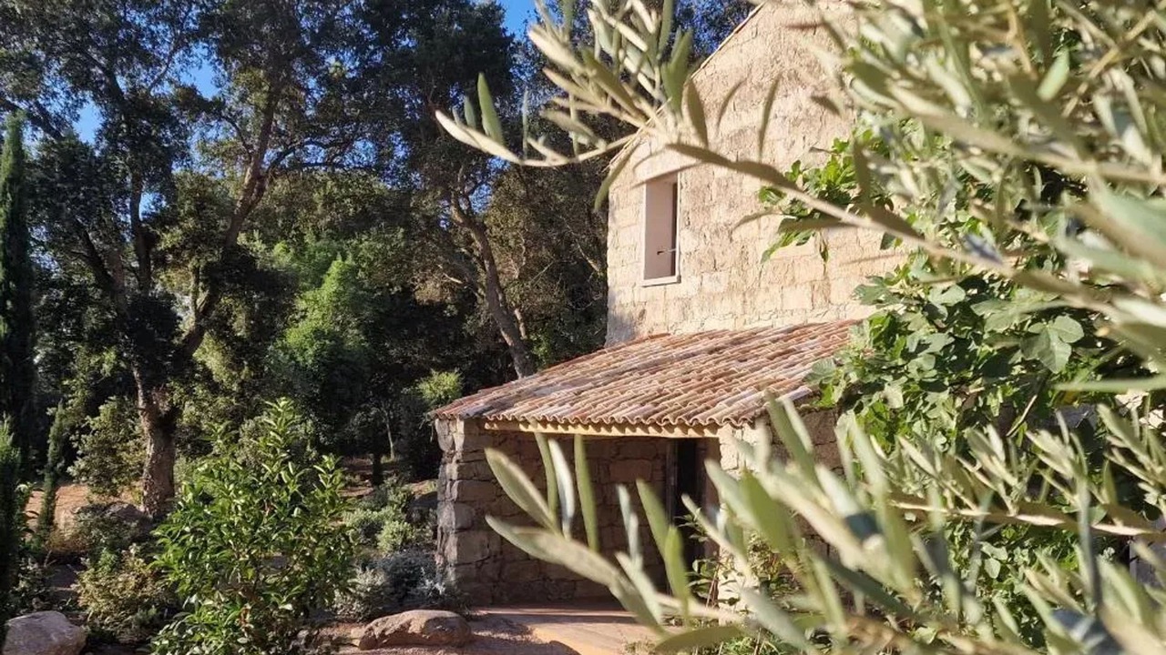 Photo of Others in Porto-Vecchio