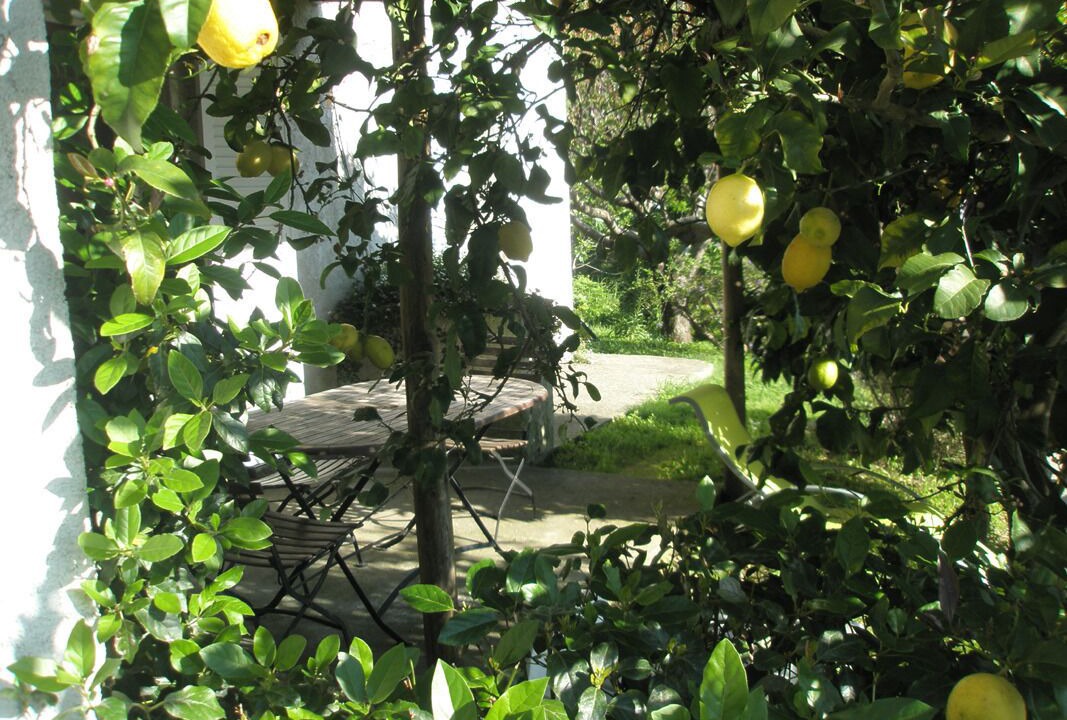 Photo of Outdoor in Cagnano