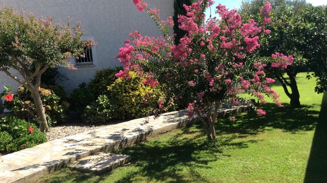 Photo of Outdoor in Furiani