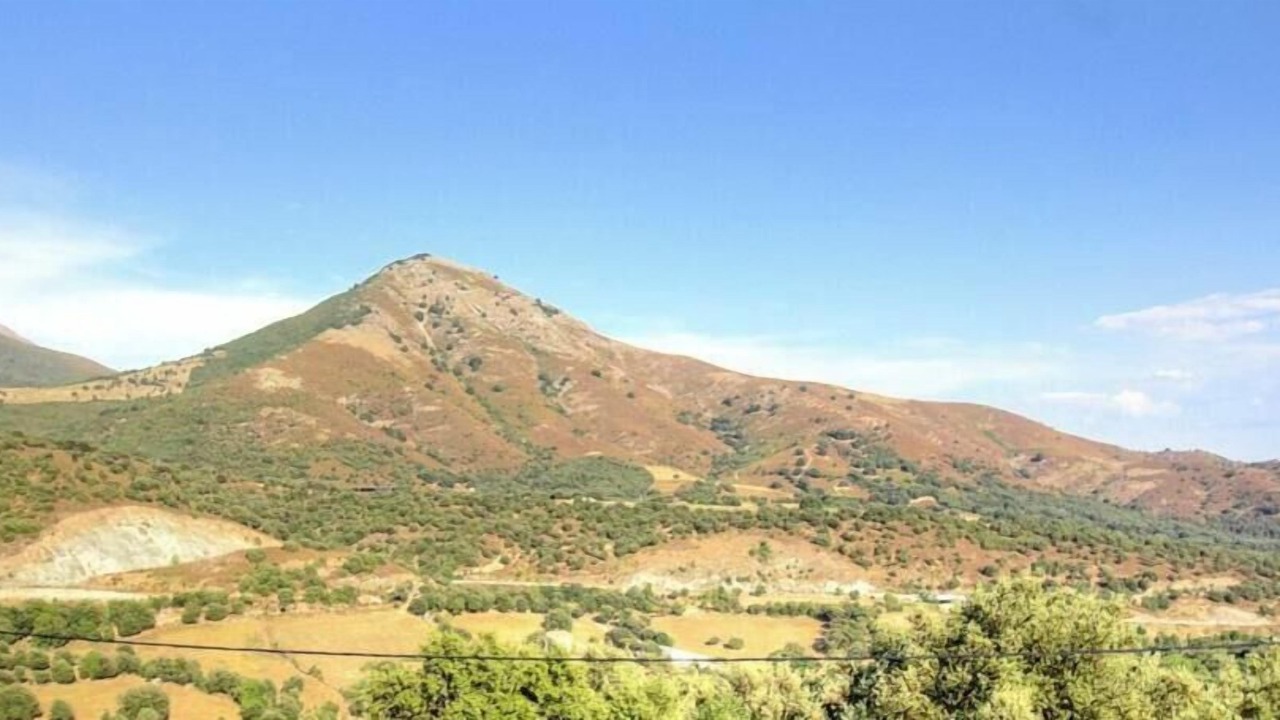 Photo of Others in Tralonca