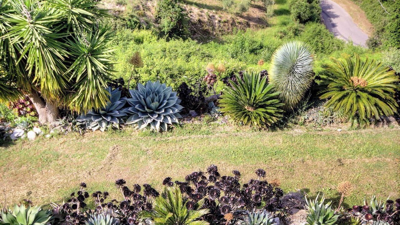 Photo of Outdoor in Penta-di-Casinca
