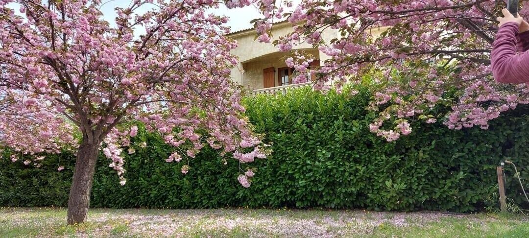 Photo of Outdoor in Lucciana