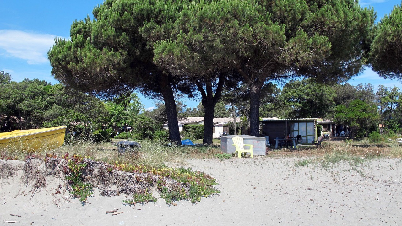 Photo of Outdoor in Talasani