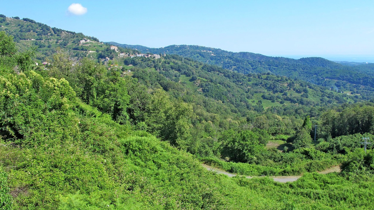 Photo of Outdoor in San-Giovanni-di-Moriani