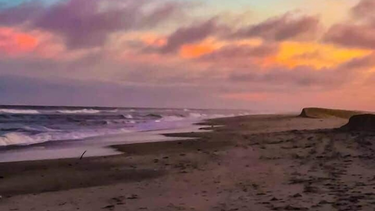Photo of Others in Chincoteague