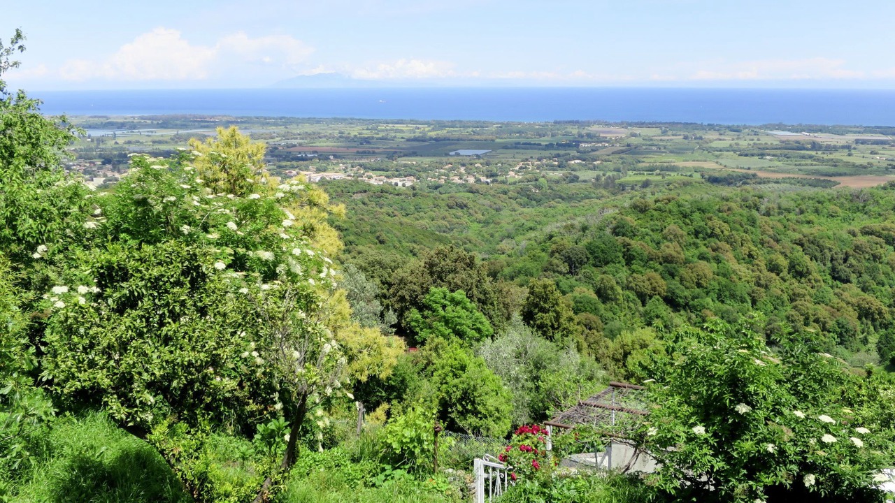 Photo of Outdoor in San-Giovanni-di-Moriani