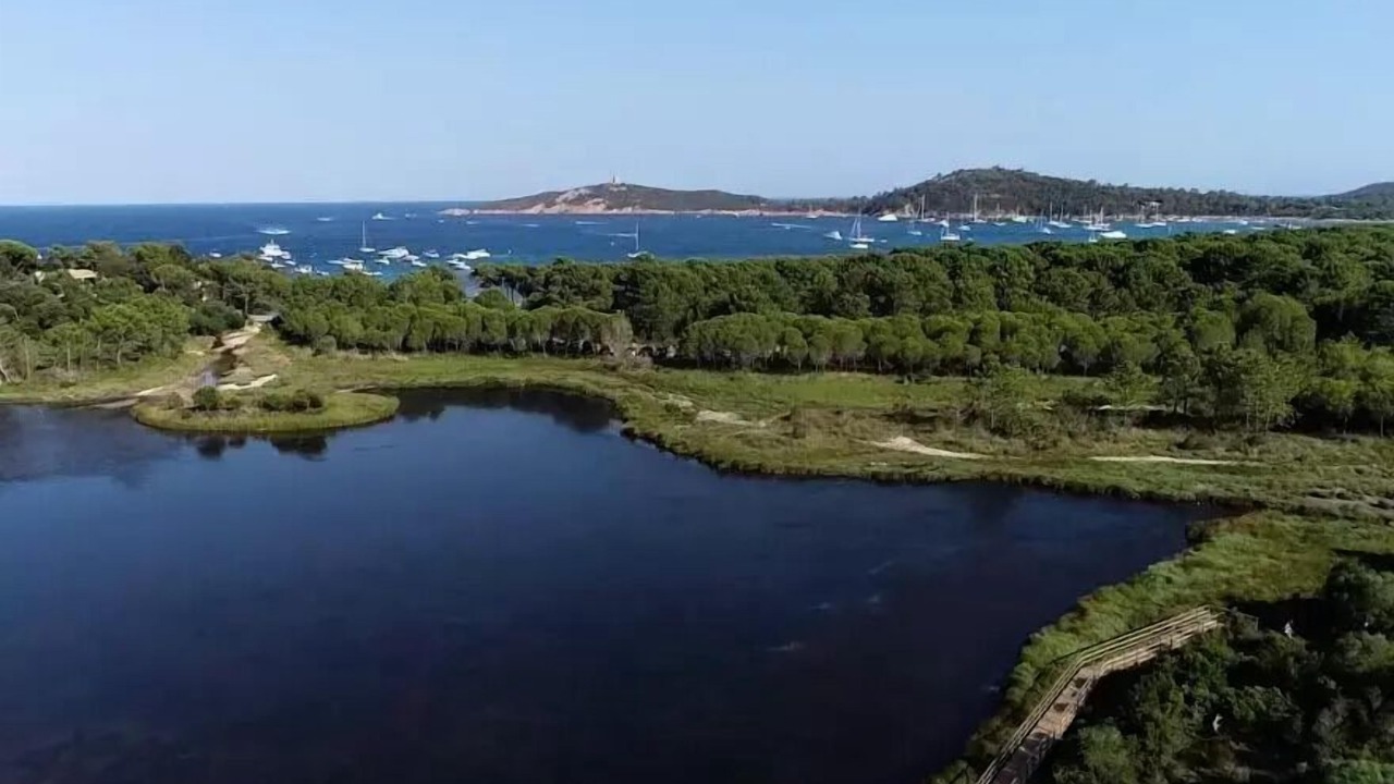 Photo of Outdoor in Pinarellu