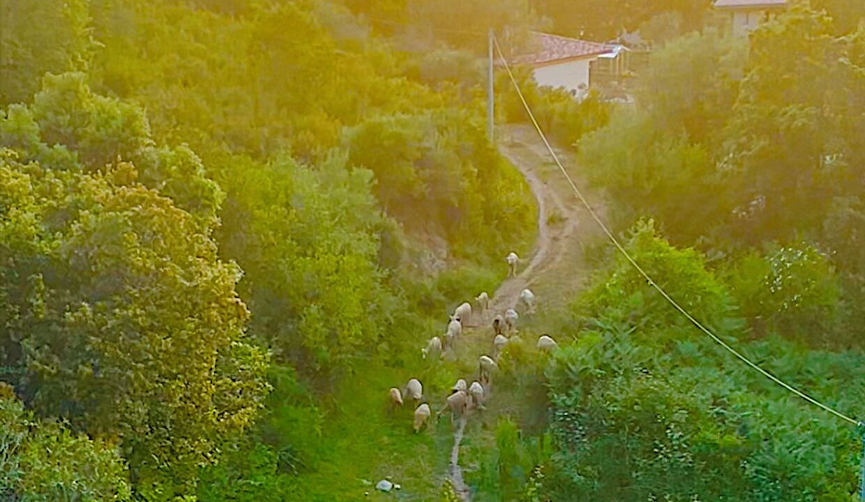 Photo of Outdoor in Casaglione