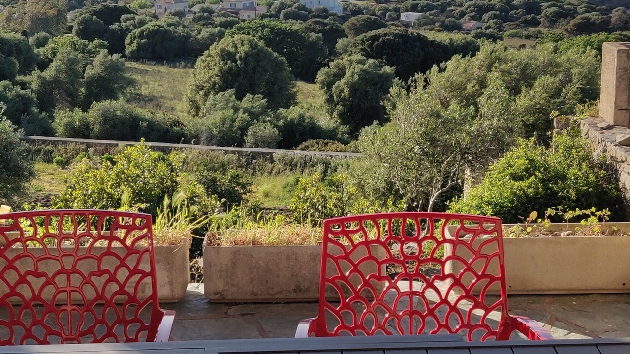 Photo of Outdoor in Corbara