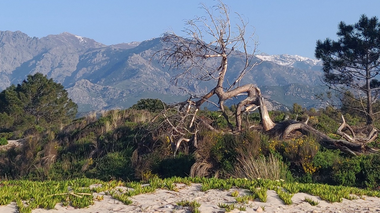 Photo of Outdoor in Corbara