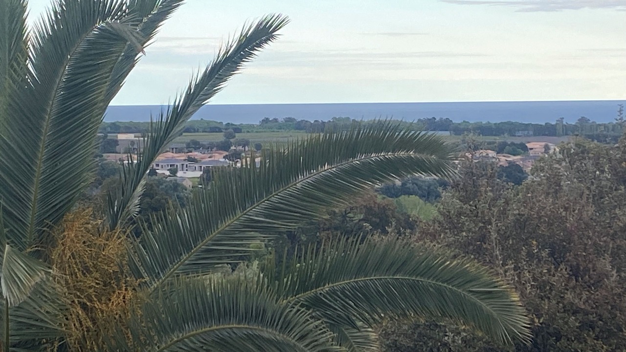 Photo of Others in Taglio-Isolaccio