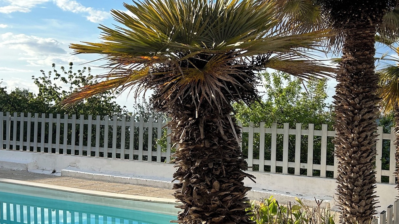 Photo of Outdoor in Antisanti