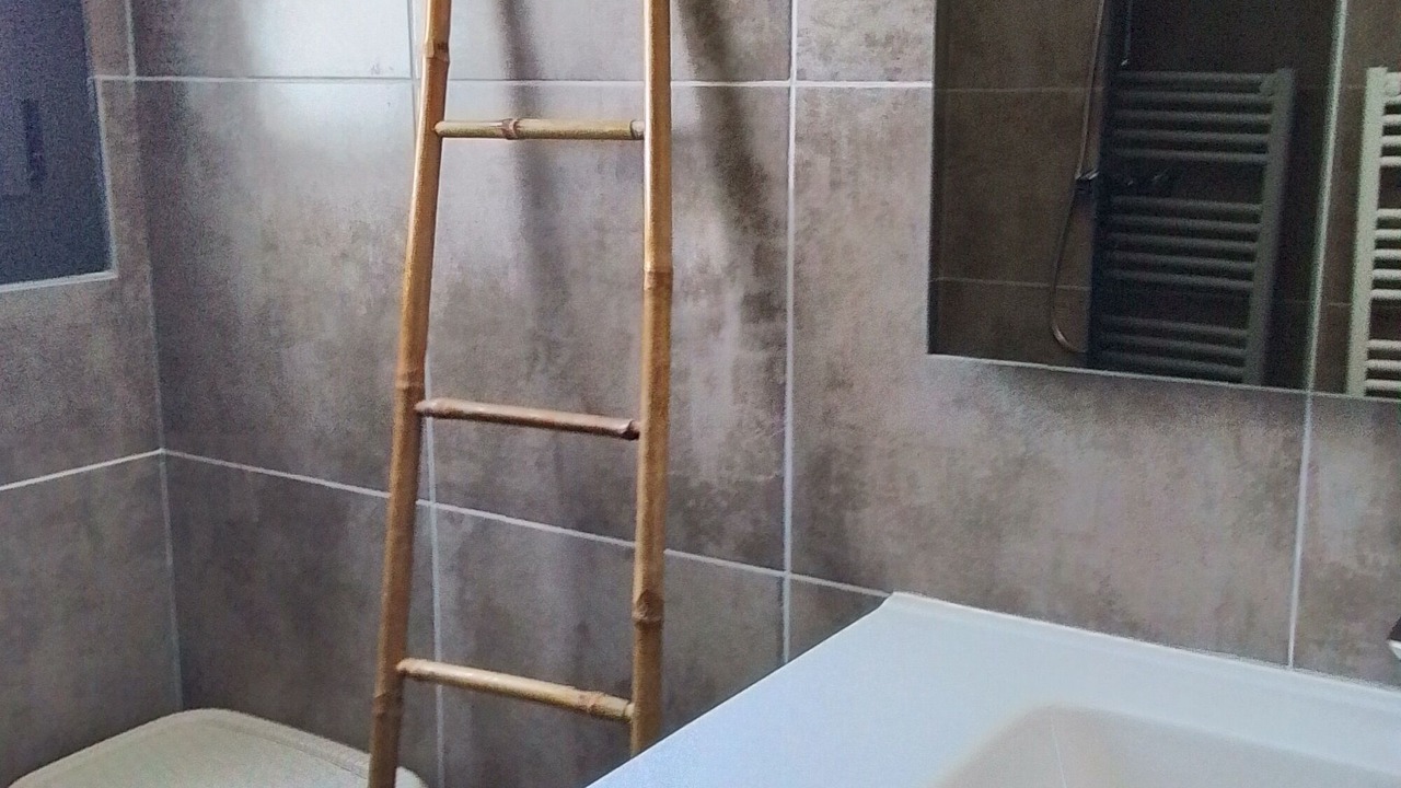 Photo of Bathroom in Palasca