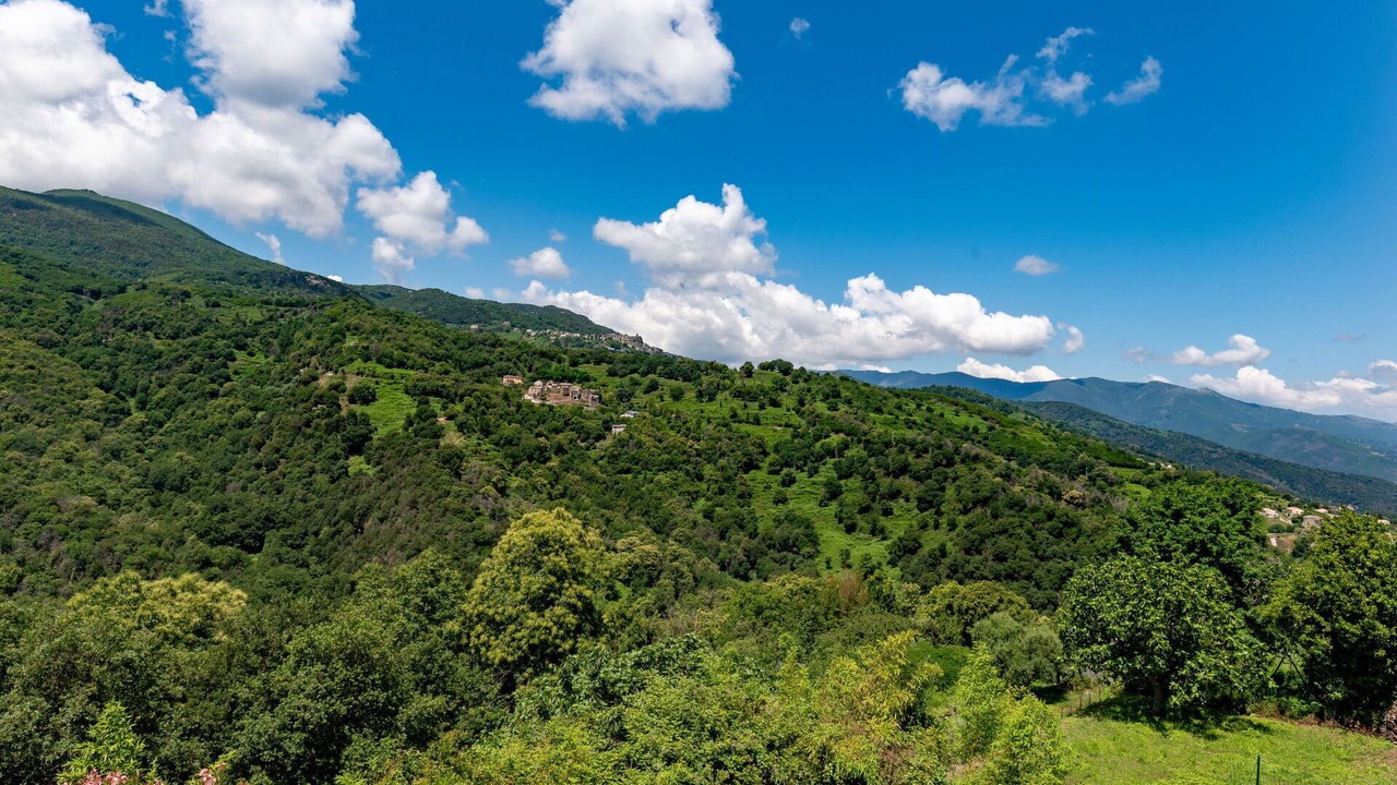 Photo of Others in Penta-di-Casinca