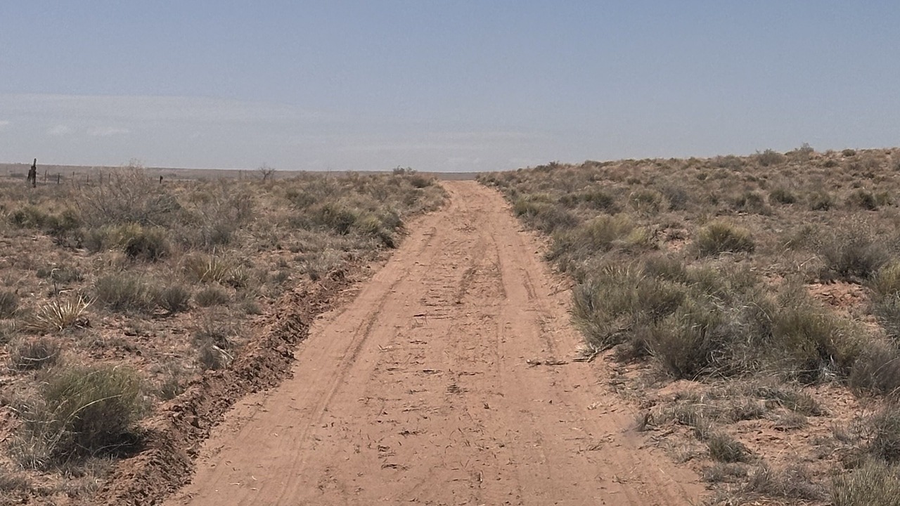 Photo of Outdoor in Holbrook