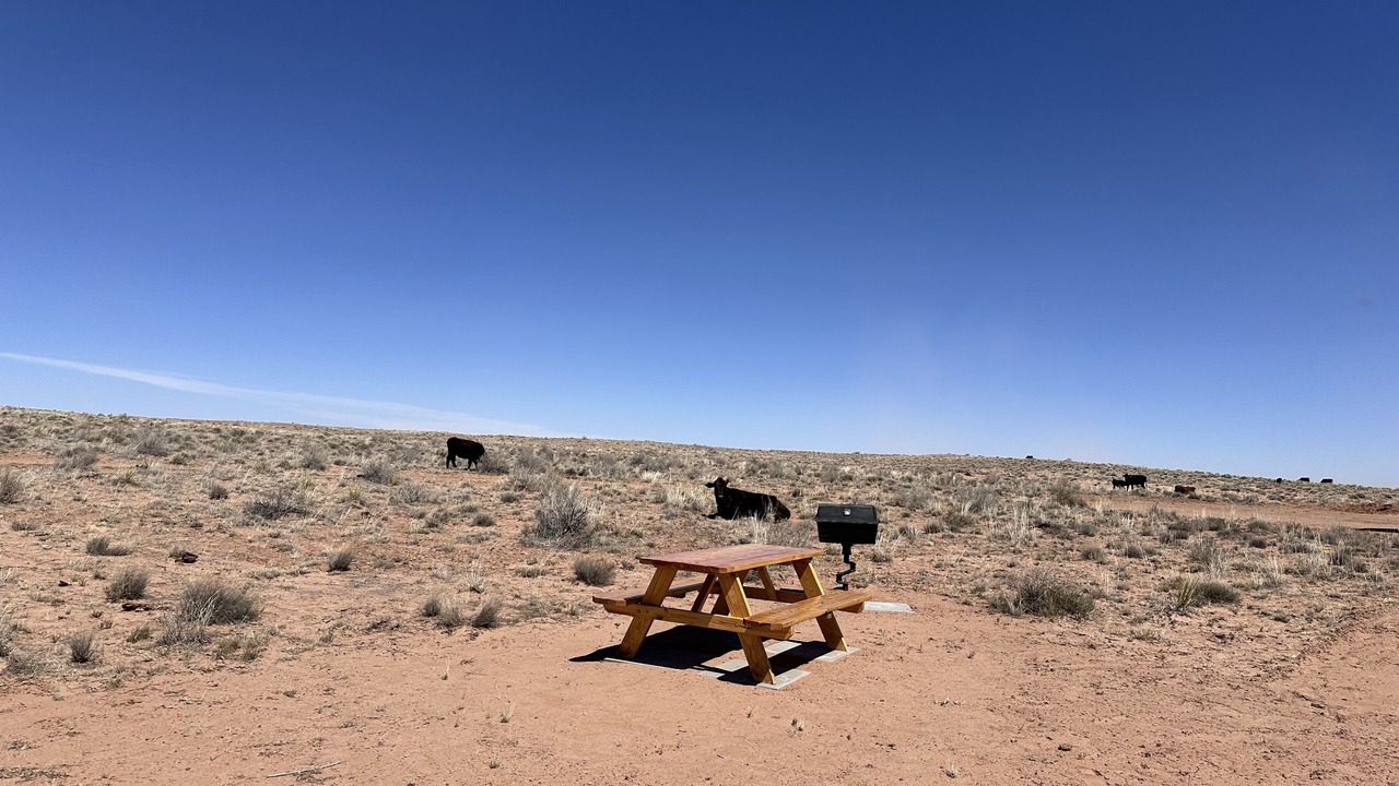 Photo of Outdoor in Holbrook