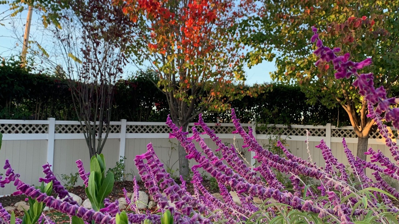 Photo of Outdoor in Solvang