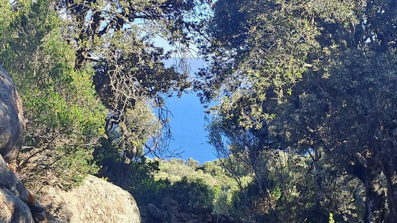 Photo of Outdoor in Porto Pollo