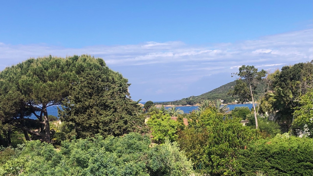 Photo of Others in Isolella