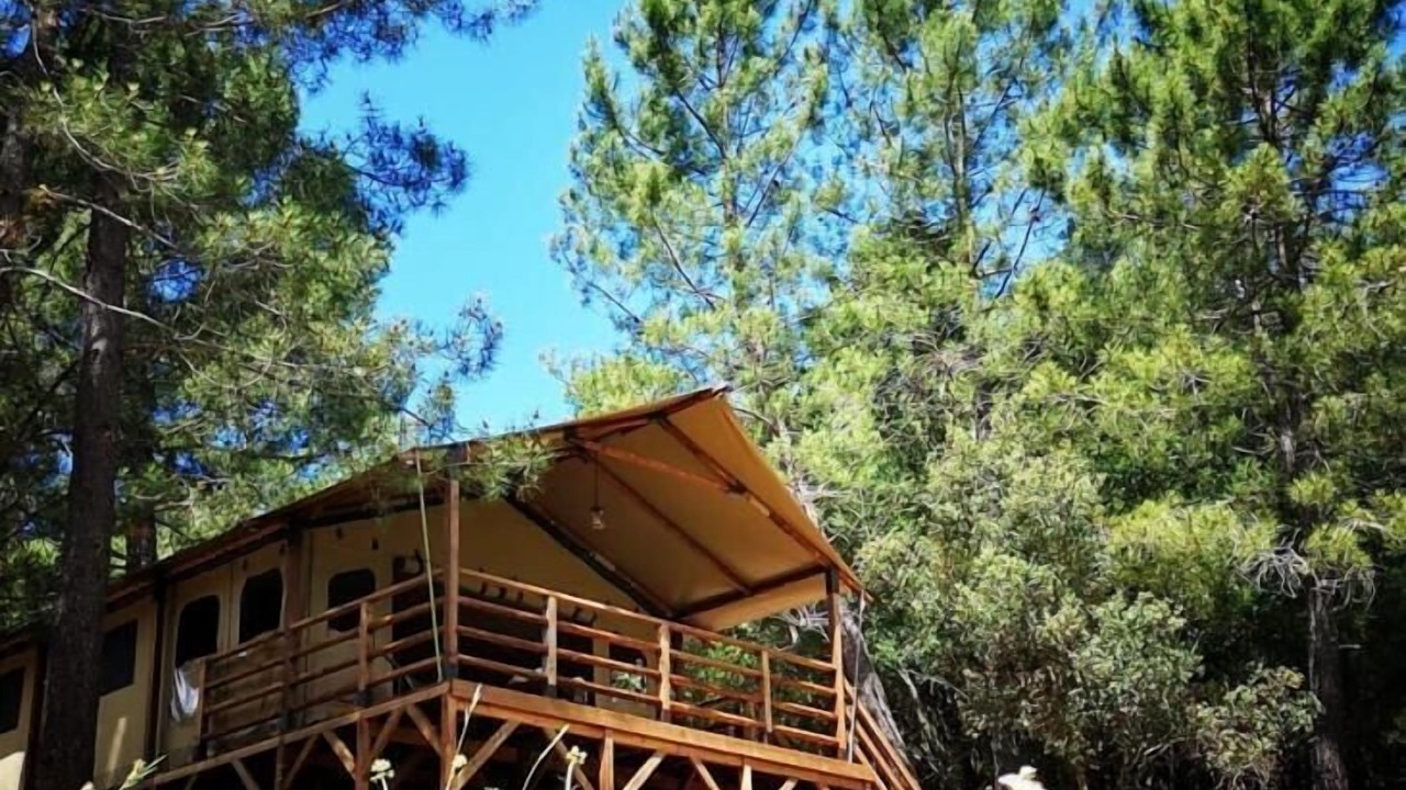 Photo of Outdoor in Ucciani