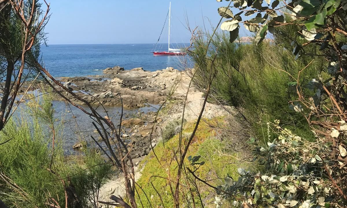 Photo of Others in Marine de Davia