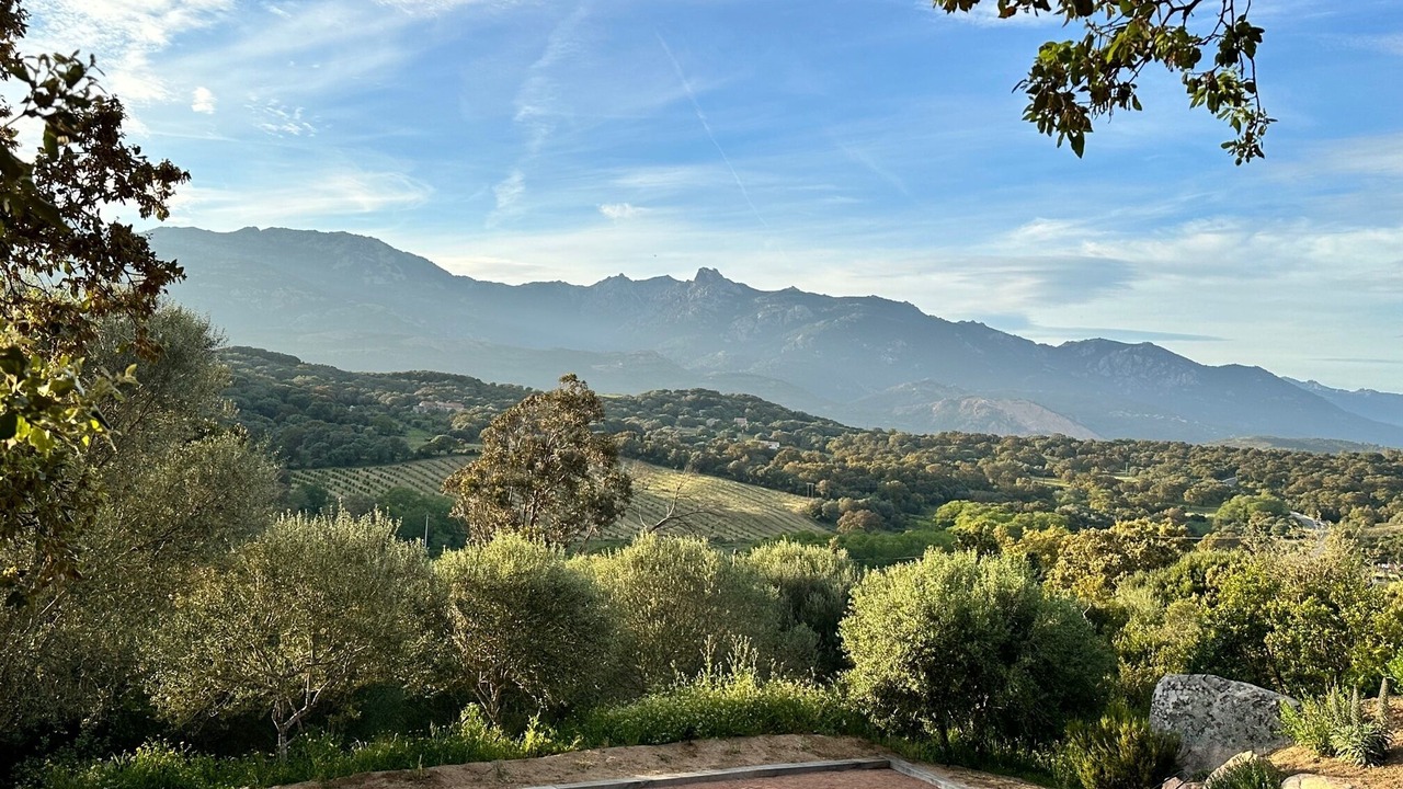 Photo of Outdoor in Figari