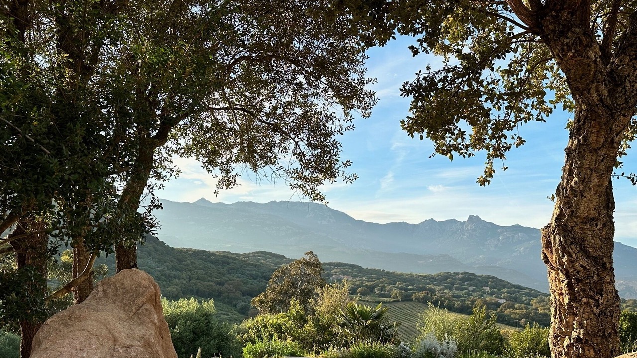 Photo of Others in Figari