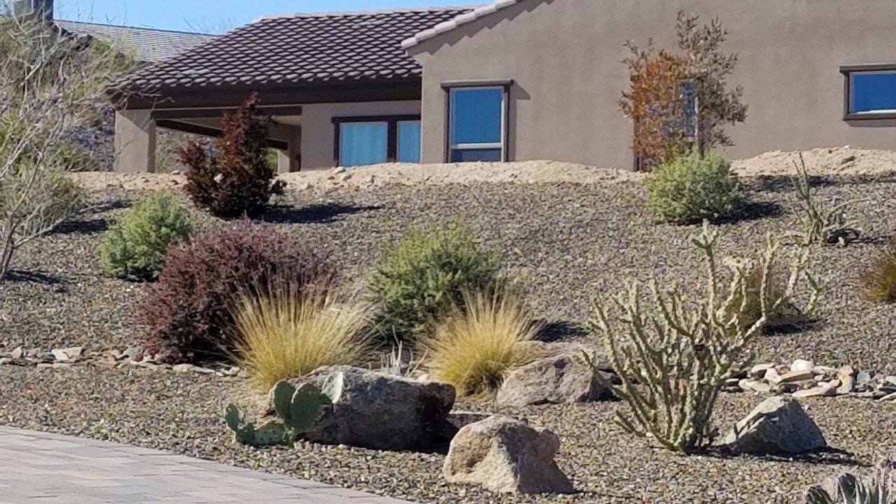 Photo of Outdoor in Wickenburg