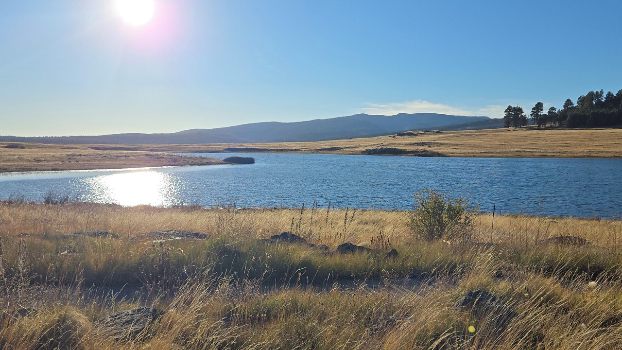 Photo of Others in Springerville