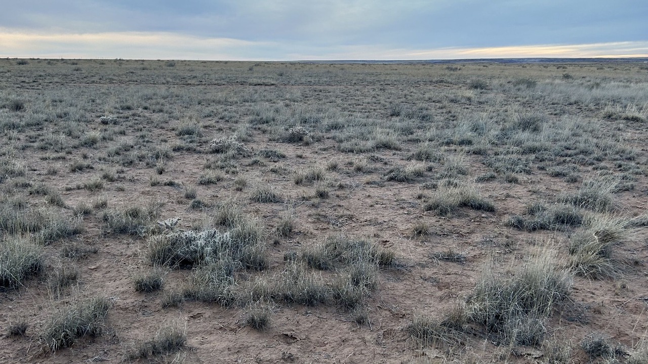 Photo of Outdoor in Holbrook