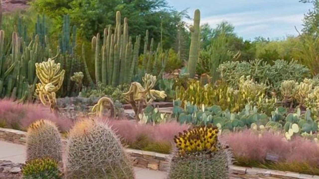 Photo of Outdoor in McDowell Mountain Apartments