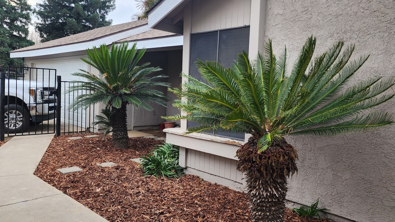 Photo of Outdoor in Visalia