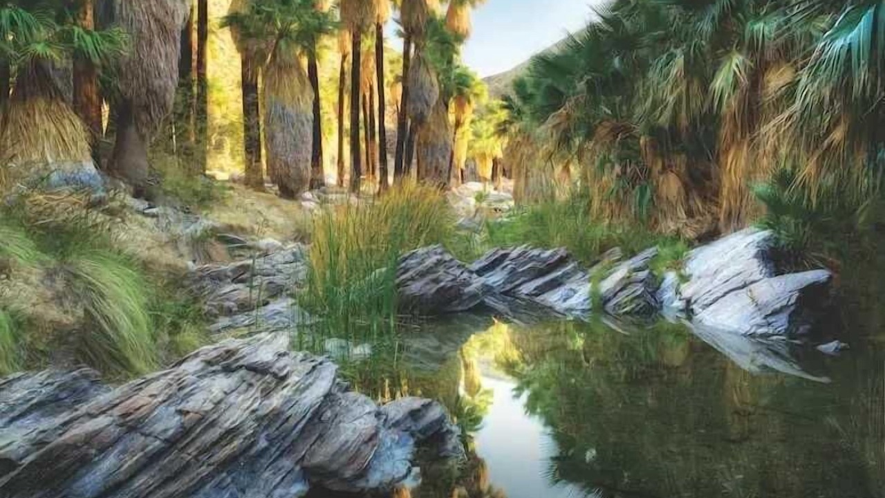 Photo of Others in Indian Canyon