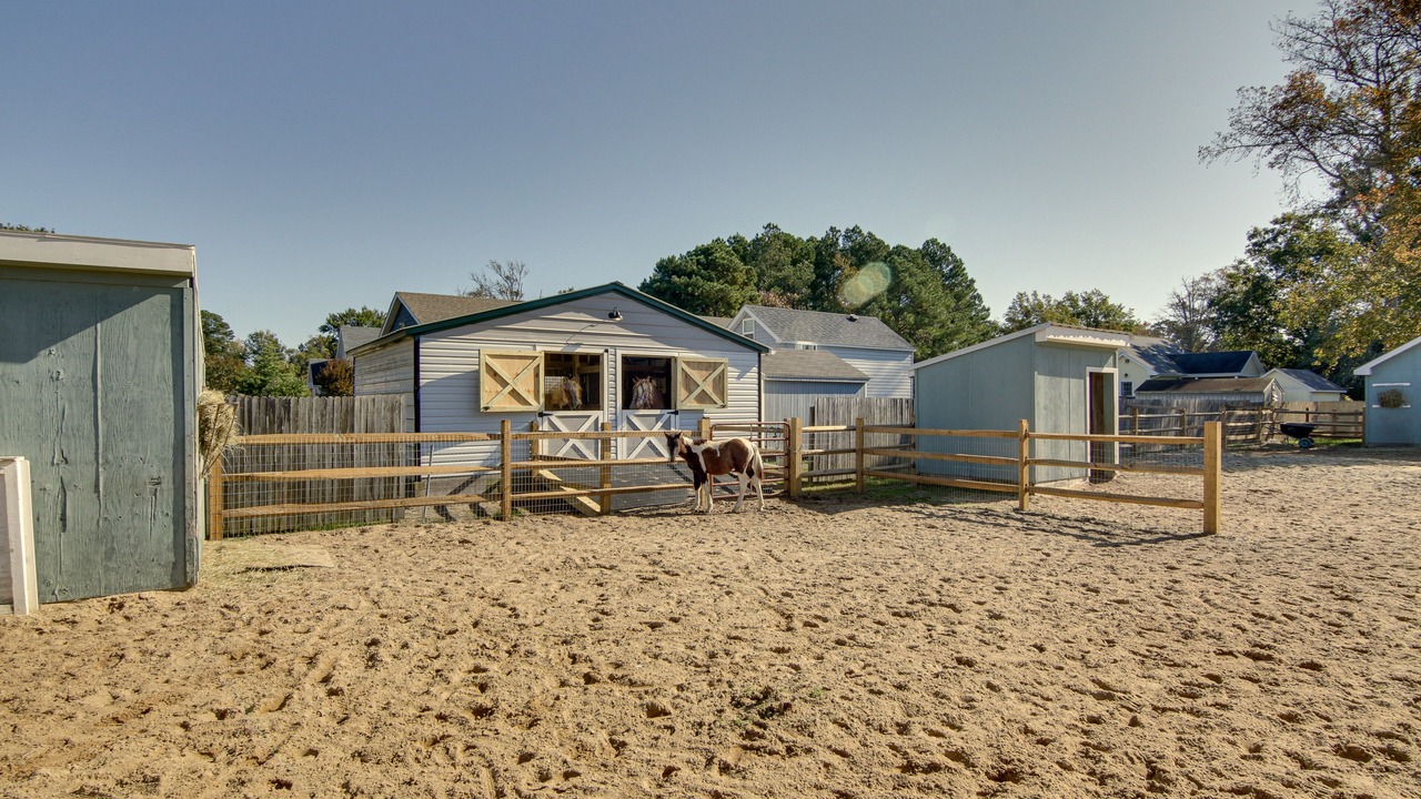 Photo of Outdoor in Chincoteague