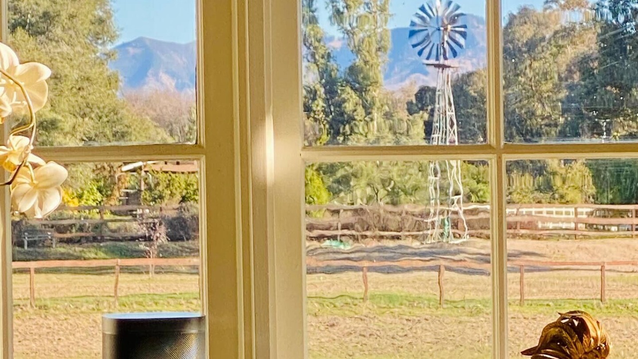 Photo of Others in Ballard