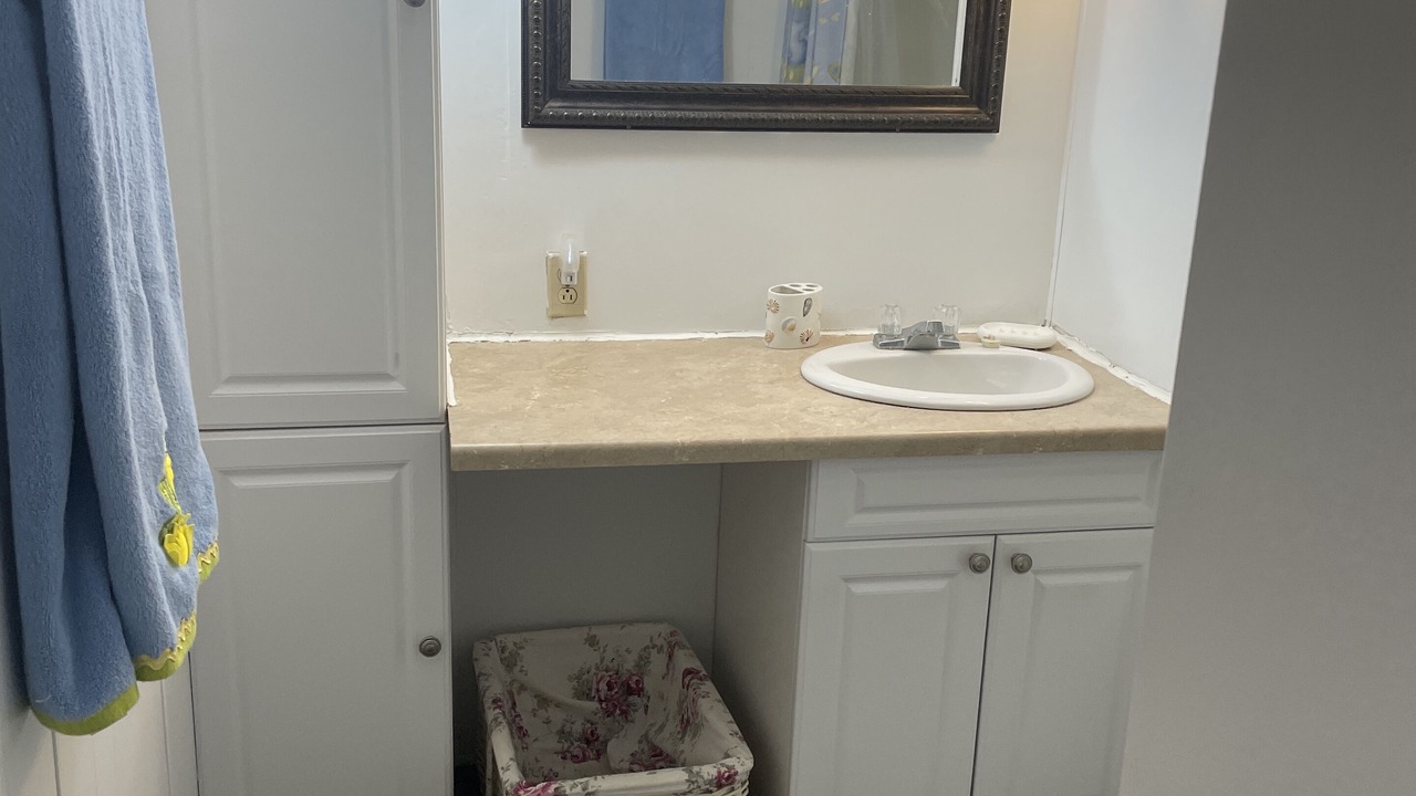Photo of Bathroom in Bluff