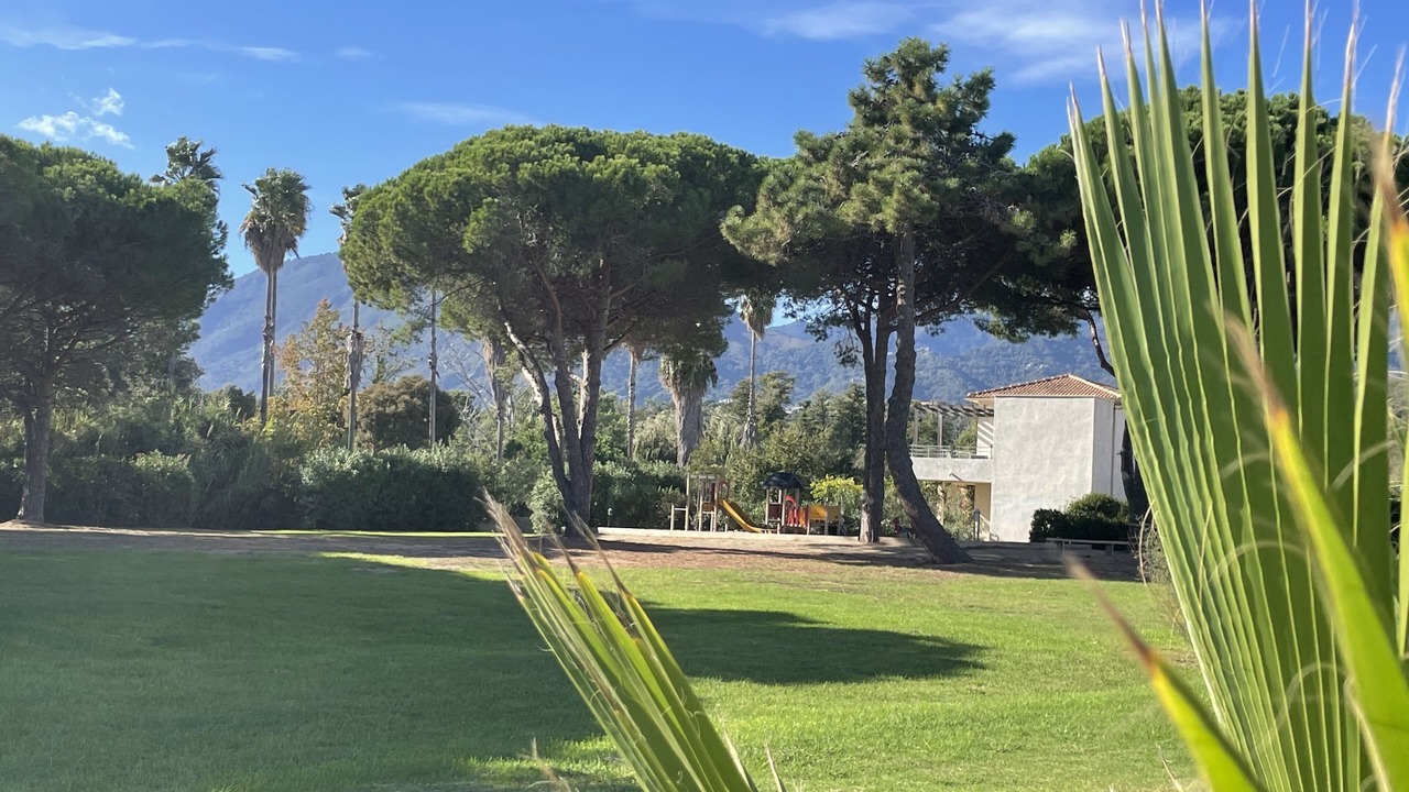 Photo of Outdoor in Poggio-Mezzana