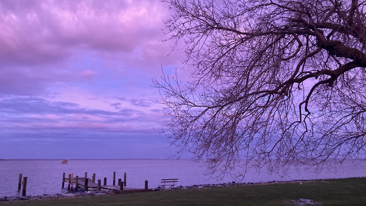 Photo of Outdoor in Tilghman