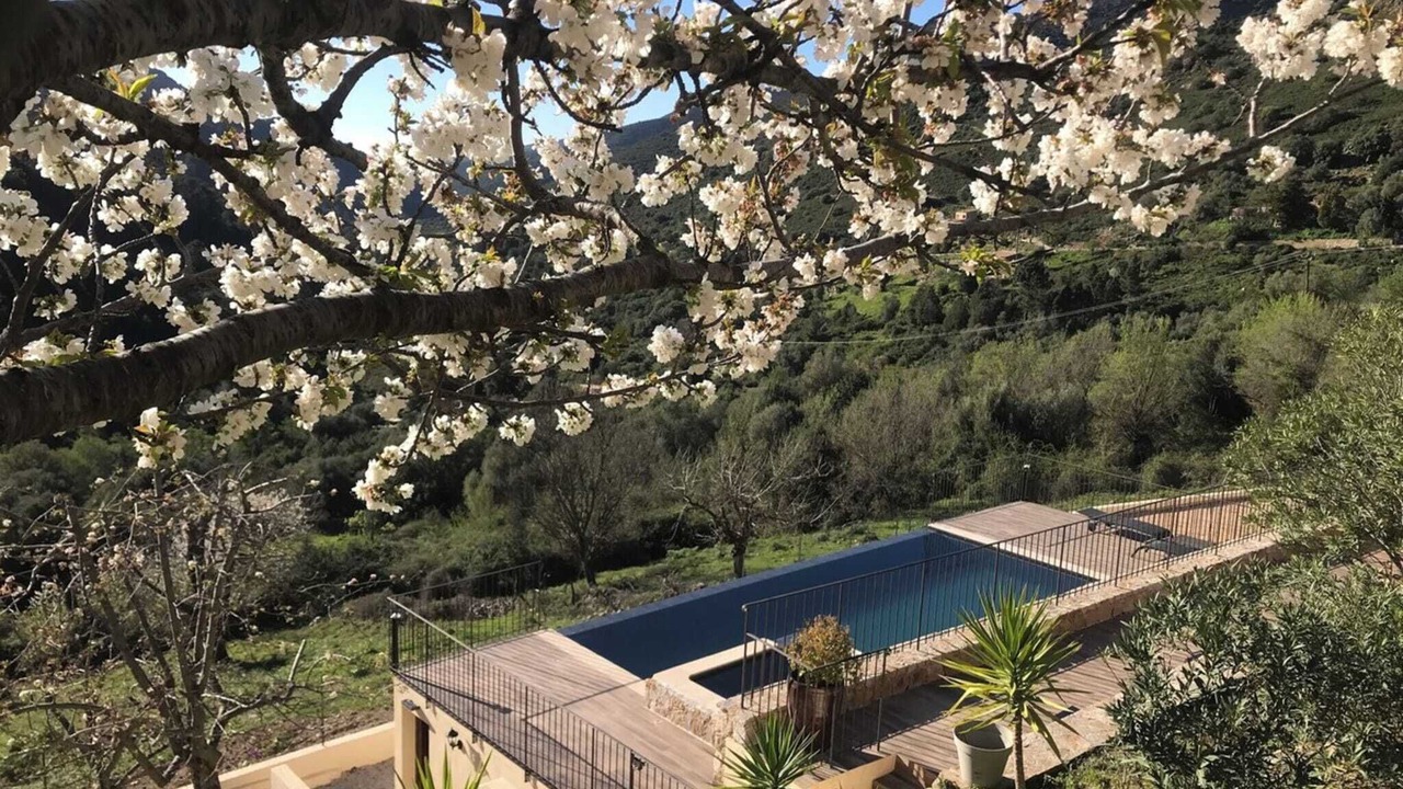 Photo of Outdoor in Manso