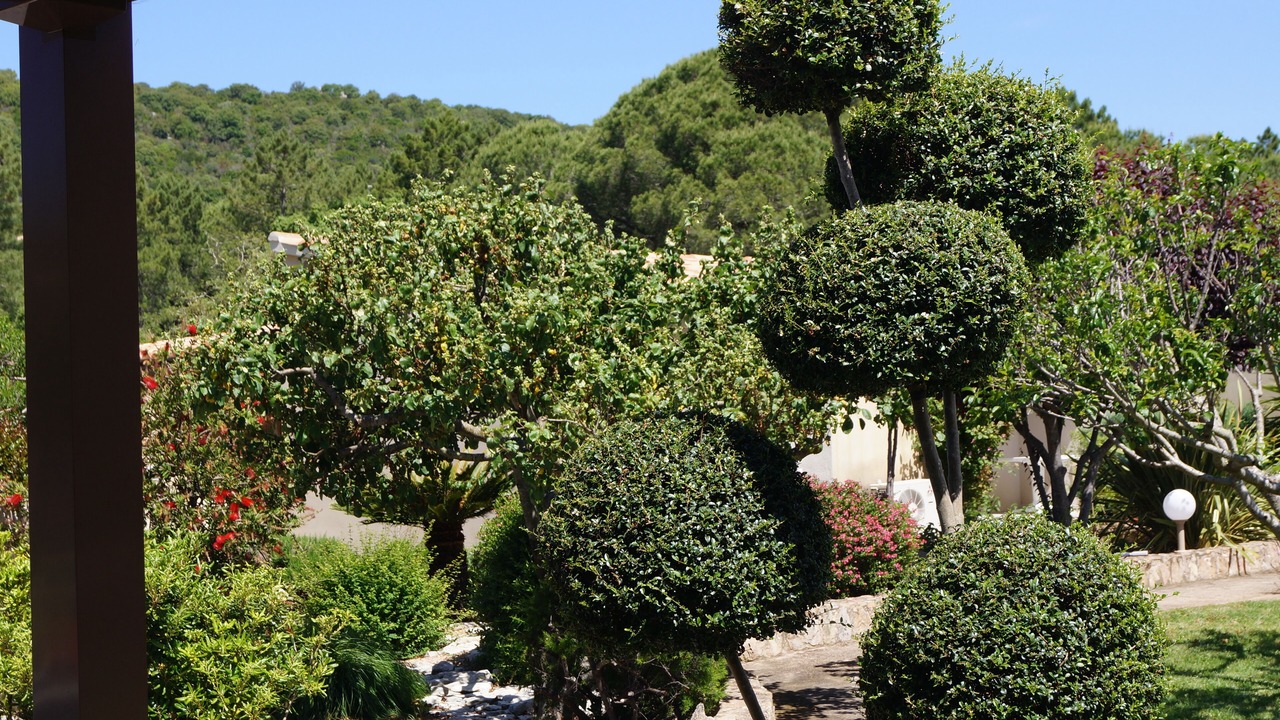 Photo of Outdoor in Santa Giulia