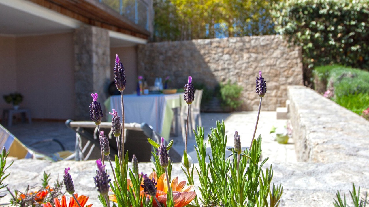 Photo of Outdoor in Porticcio